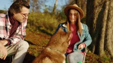 Çekici mutlu çift güz parkında ya da ormanda evcil köpekle oynuyor. Güçlü. Hayvan gibi rahat, neşeli bir portre. Gün ışığında. Yavaş çekim