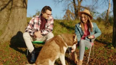 Sonbahar parkında ya da ormanda evcil köpekle oynayan neşeli mutlu çift. Güçlü. Hayvan gibi rahat, neşeli bir portre. Gün ışığında. Yavaş çekim