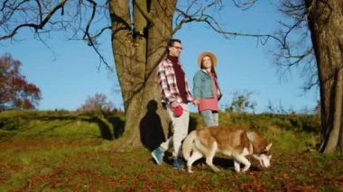 Sevimli bir adam ve güzel bir kadın evcil köpeğiyle göl kenarındaki bir sonbahar ormanında yürüyor. Hayvan gibi rahat, neşeli bir portre. Mutlu ol. Gün ışığında. Yavaş çekim