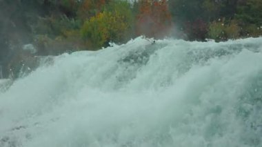 Ormanda gizlenmiş inanılmaz şelale manzarası. Gündüz, bulutlu hava. Saf su, muhteşem şelale, saflık, damla, temiz, sonbahar, turizm, berrak, huzurlu, ekoloji, cennet, hiç kimse, tatil