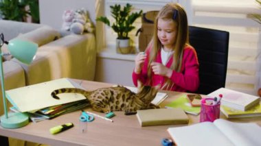 Çizim yapmayı öğrenen kız ev ödevi yapıyor, masada oturuyor. Kedi etrafta dolanıp kızla oynuyor. Anaokulu çocuğu tek başına ilkokul eğitimi alıyor. Yavaş çekim
