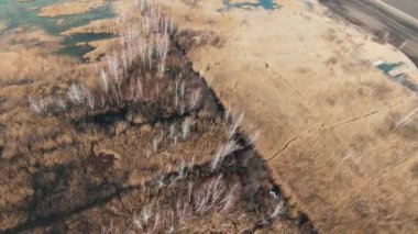 Yavaş çekim helikopter görüntüsü geniş bir alanda uçuyor. Çalılar, bataklık, göl. Yukarıdan bak. Varış yeri, turizm, yol, seyahat, hava, dinlenme, serbest, güneş ışığı, rıhtım, doğa, dron. Kapat.