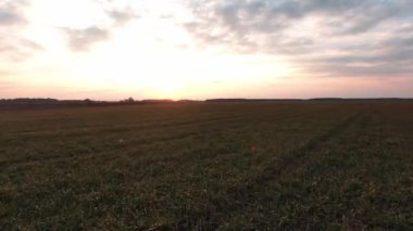 Tarım tarlalarının güzel günbatımı manzarasında. Drone helikopteri kırsal alanda uçuyor. Kırsal, manzara, hasat, bahar, açık hava, arka plan, yavaş çekim