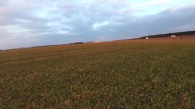 Tarımsal alanın inanılmaz hava manzarası. Drone helikopteri kırsal alanda uçuyor. Kırsal, manzara, hasat, bahar, açık hava, arka plan, yavaş çekim