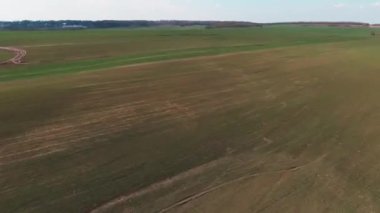 Kıştan sonraki hasat tarlasının insansız hava aracı görüntüsü. Kırsal, tarım, manzara, doğa, seyahat, güneş, buğday, tarım, manzara. Havadan. Helikopter görüntüsü. Yavaş çekim