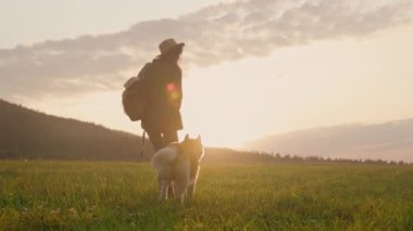 Ufuk gezgini ve Husky hareket ediyor, beyaz kaşif çimenli vadide gün doğumuna doğru ilerliyor, köpek yakından takip ediyor.,