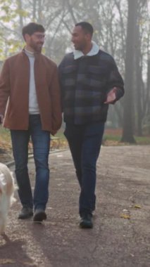 Parkta köpek gezdiren iki adam beyaz adam ve siyah adam el ele tutuşup broşür yolu boyunca Golden retriever 'da yürüyorlar.