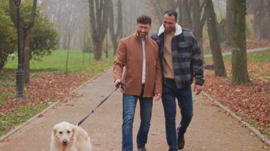 Park yolu iki adam köpek gezdiriyor, beyaz ve siyah ortaklar tasmalı Golden Retriever ile geziyorlar, günlük ceketler.,