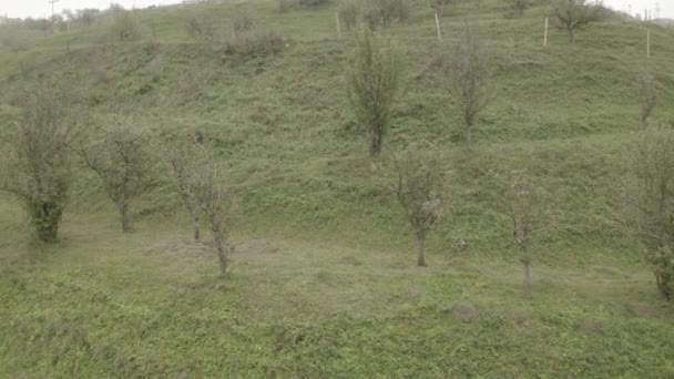 Terrazas de Daguestán montañoso, un milagro agrícola en zonas remotas. Paisaje rural en las montañas — Vídeos de Stock