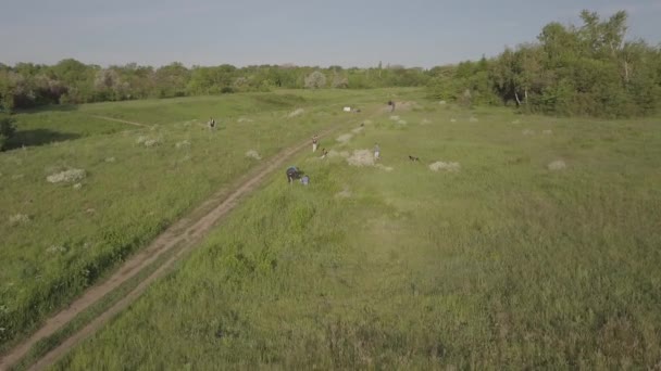 Fotografové Naturalisté Fotí Přírodu Fotografická Škola Terénu Hodina Makrofotografie Anténní — Stock video