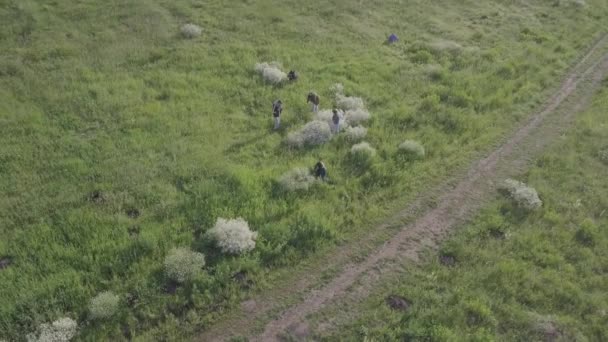 Fotógrafos Naturalistas Tiram Fotos Natureza Escola Fotografia Campo Aula Macrofotografia — Vídeo de Stock