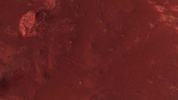 火星人的风景 火烈鸟在戈壁沙漠的空中俯瞰 烧焦了的地球 恐龙的残骸在那里安息 它们也在那里产卵 峡谷Hermen Tsav — 图库视频影像