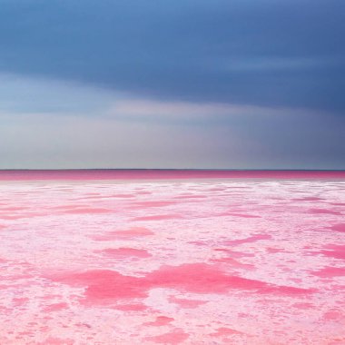 Pembe göl, inanılmaz doğal manzara. Tuz gölü pembeye döndü.