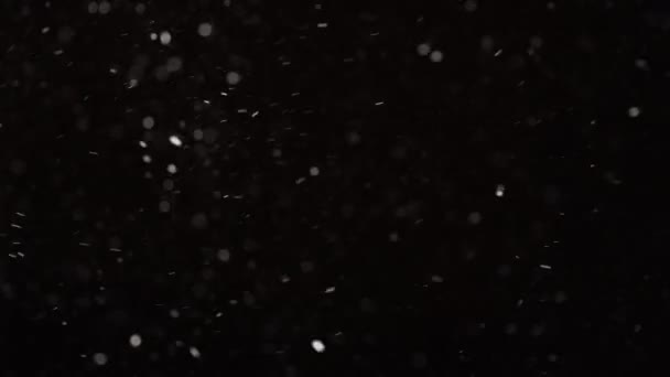 Nieve real cayendo aislada sobre fondo negro en cámara lenta 4K. metraje para componer, gráficos en movimiento, copos de nieve grandes y pequeños, nieve aislada — Vídeo de stock