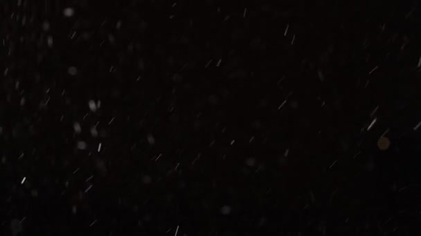Настоящий падающий снег изолирован на черном фоне в замедленной съемке 4K. Неградуированные кадры для композиции, графика движения, Большие и маленькие снежинки, Изолированный падающий снег — стоковое видео