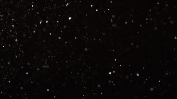 Настоящий падающий снег изолирован на черном фоне в замедленной съемке 4K. Неградуированные кадры для композиции, графика движения, Большие и маленькие снежинки, Изолированный падающий снег — стоковое видео