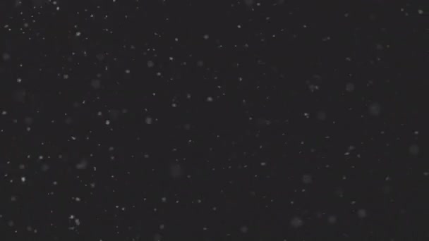 Belle vraie neige tombante isolée sur fond noir en 8K, ProRes 422, non classé C-LOG 10 bits. séquences pour la composition, graphiques de mouvement, Petits et grands flocons de neige, Neige tombante isolée — Video