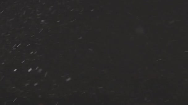 Véritable neige tombante isolée sur fond noir en 8K, ProRes 422, C-LOG 10 bits non dégradé. séquences pour la composition, graphiques de mouvement, Petits et grands flocons de neige, Neige tombante isolée — Video