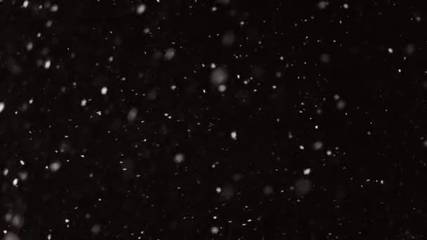 4Kスローモーションで黒の背景に隔離された美しい本当の落下雪は、 50ミリレンズで撮影しました。作曲、モーショングラフィックス、大小の雪のフレーク、孤立した落下雪のための未分類の映像 — ストック動画