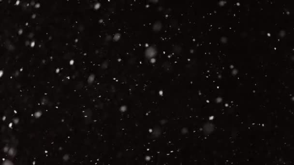 Schöner real fallender Schnee isoliert auf schwarzem Hintergrund in 4K Zeitlupe, aufgenommen auf einem 50 mm Objektiv. Unbenotetes Filmmaterial zum Komponieren, Motion Graphics, Große und kleine Schneeflocken, isoliert fallender Schnee — Stockvideo