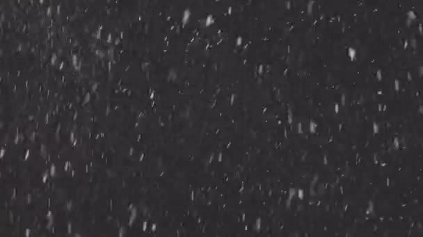 Skutečný padající sníh izolovaný na černém pozadí v 8K, ProRes 422, neklasifikovaný C-LOG 10 bit. záběry pro skládání, pohybová grafika, Velké a malé sněhové vločky, Izolovaný padající sníh — Stock video