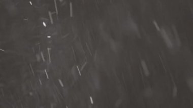 Güzel Real yağan kar 8K, ProRes 422, derecelendirilmemiş C-LOG 10 bit siyah zemin üzerinde izole. Mükemmel bokeh 'li bir telefoto lensi, besteleme görüntüleri, hareketli grafikler.