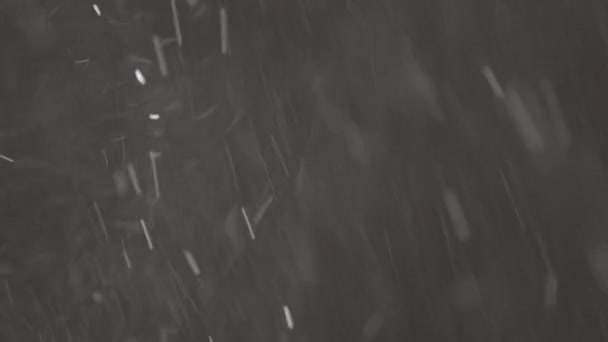 Schöner Echt fallender Schnee isoliert auf schwarzem Hintergrund in 8K, ProRes 422, ungraded C-LOG 10 bit. Aufgenommen auf einem Teleobjektiv mit perfektem Bokeh, Filmmaterial zum Komponieren, Motion Graphics — Stockvideo