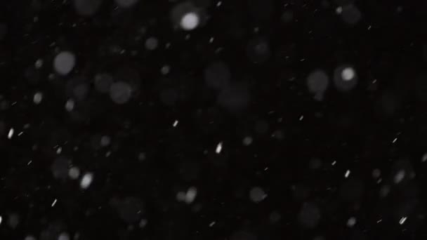 Hermosa nieve real cayendo aislado sobre fondo negro en 4K cámara lenta, Disparo en una lente de teleobjetivo con bokeh perfecto. Imágenes sin clasificar para componer, gráficos en movimiento, nieve grande y pequeña — Vídeos de Stock