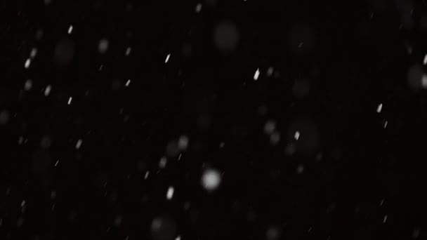 Hermosa nieve real cayendo aislado sobre fondo negro en 4K cámara lenta, Disparo en una lente de teleobjetivo con bokeh perfecto. Imágenes sin clasificar para componer, gráficos en movimiento, nieve grande y pequeña — Vídeo de stock