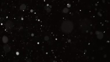 Güzel Gerçek Kar, 4K yavaş çekimde izole edilmiş bir şekilde telefoto merceğiyle mükemmel bir bokeh ile çekilmiş. Besteleme, hareket grafikleri, büyük ve küçük kar için derecelendirilmemiş görüntüler