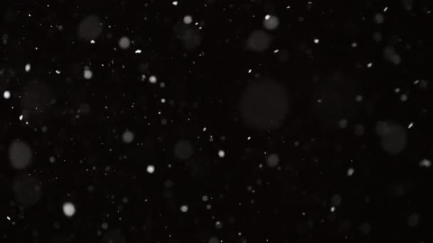 Hermosa nieve real cayendo aislado sobre fondo negro en 4K cámara lenta, Disparo en una lente de teleobjetivo con bokeh perfecto. Imágenes sin clasificar para componer, gráficos en movimiento, nieve grande y pequeña — Vídeo de stock