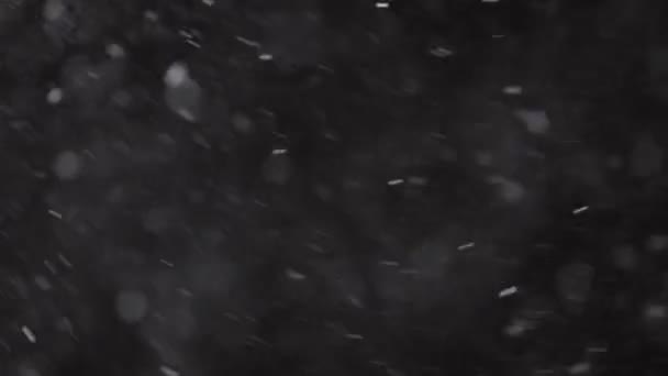 Hermosa nieve real cayendo aislado sobre fondo negro en 4K cámara lenta, Disparo en una lente de teleobjetivo con bokeh perfecto. Imágenes sin clasificar para componer, gráficos en movimiento, nieve grande y pequeña — Vídeos de Stock