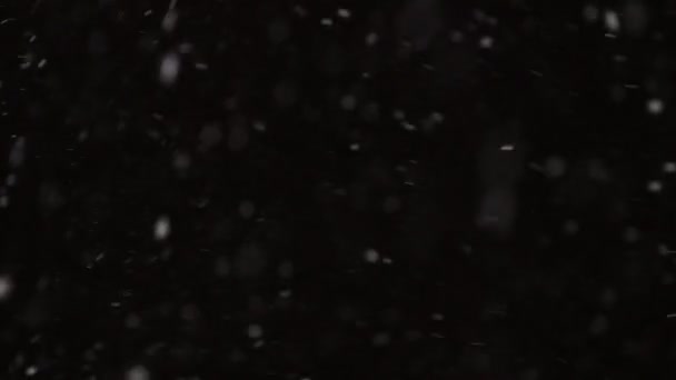 Belle vraie neige tombante isolée sur fond noir au ralenti 4K, prise de vue sur un téléobjectif avec bokeh parfait. Images non classées pour la composition, les graphismes animés, les petites et grandes neiges — Video