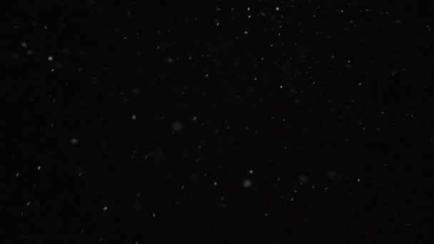 Vacker Real fallande snö isolerad på svart bakgrund i 4K slow motion, skjuten på 50 mm lins. Ograderade bilder för komponering, rörlig grafik, Stora och små snöflingor, Isolerad fallande snö — Stockvideo