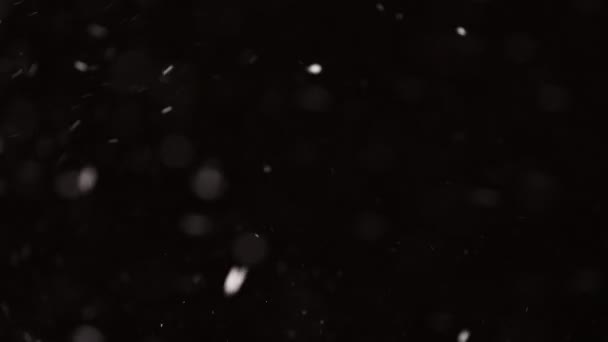 Gyönyörű Valódi lehulló hó elszigetelt fekete alapon 4K lassított felvétel, lövés egy teleobjektíven tökéletes bokeh. Minősítetlen felvétel zeneszerzéshez, mozgóképekhez, nagy és kicsi hóhoz — Stock videók