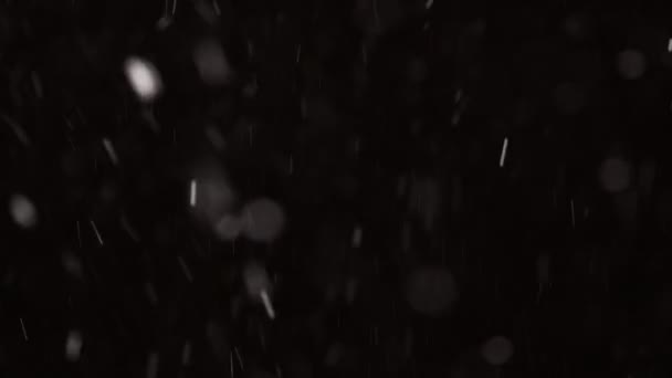 Belle vraie neige tombante isolée sur fond noir en 4K, prise de vue sur un téléobjectif avec bokeh parfait. Images non classées pour la composition, les graphismes animés, Petits et grands flocons de neige, Isolé — Video