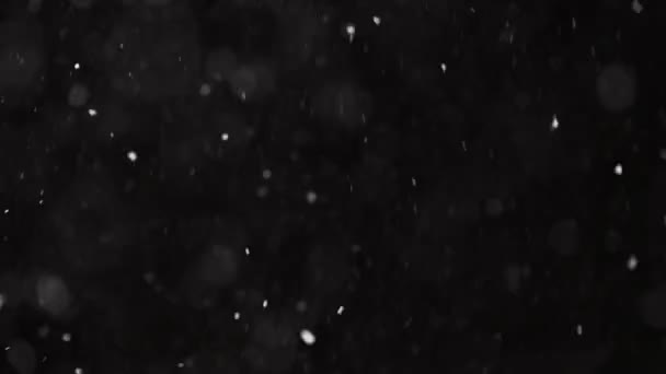 Hermosa nieve real cayendo aislado sobre fondo negro en 4K cámara lenta, Disparo en una lente de teleobjetivo con bokeh perfecto. Imágenes sin clasificar para componer, gráficos en movimiento, nieve grande y pequeña — Vídeos de Stock