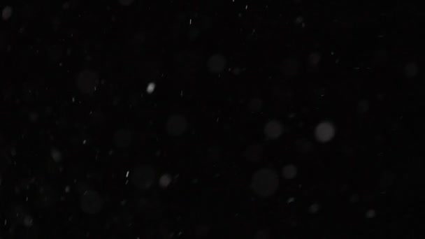 美丽的真正降雪隔离在黑色背景下，4K慢动作，50毫米镜头拍摄。未分级的作曲镜头,运动图形,大小雪片,孤立的降雪 — 图库视频影像