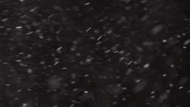 Schöner echter fallender Schnee isoliert auf schwarzem Hintergrund in 4K Zeitlupe, aufgenommen auf einem Teleobjektiv mit perfektem Bokeh. Unbenotetes Filmmaterial zum Komponieren, Motion Graphics, Großer und Kleiner Schnee — Stockvideo