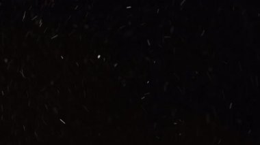 8K 'da gerçek kar yağışı var. ProRes 422, derecelendirilmemiş. Besteleme, hareket grafikleri, büyük ve küçük kar taneleri, izole kar taneleri