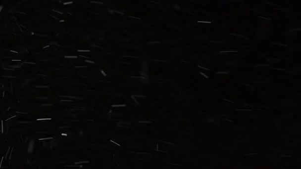 Nieve real cayendo aislada sobre fondo negro en 8K, ProRes 422, sin clasificar. metraje para componer, gráficos en movimiento, copos de nieve grandes y pequeños, nieve aislada — Vídeo de stock
