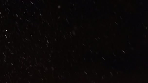 Vera neve caduta isolata su fondo nero in 8K, ProRes 422, non gradita. riprese per comporre, motion graphics, Fiocchi di neve grandi e piccoli, Neve isolata — Video Stock