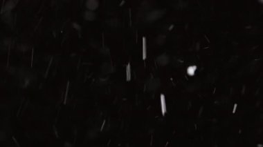 Güzel Real yağan kar, 8K 'da siyah zemin üzerinde izole, ProRes 422, derecelendirilmemiş. Mükemmel bokeh 'li bir telefoto lensi, besteleme görüntüleri, hareketli grafikler.