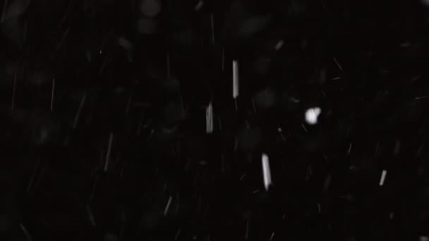 Vacker Real fallande snö isolerad på svart bakgrund i 8K, ProRes 422, ograderad. Skjuten på en teleobjektiv med perfekt bokeh, film för komponering, rörlig grafik — Stockvideo