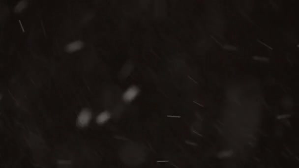 Реальный выпавший снег на черном фоне в 8K, ProRes 422, растаял. Съемка на телеобъектив с идеальным боке, кадры для сочинения, графика движения — стоковое видео