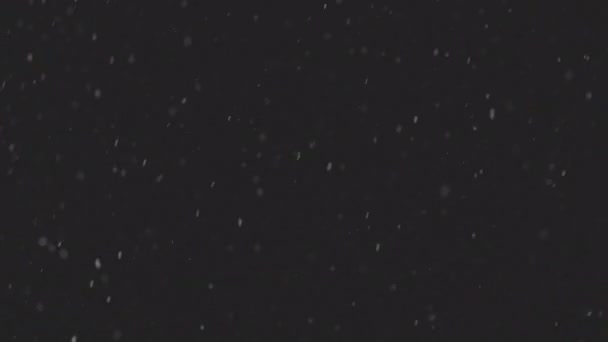 Nieve real cayendo aislada sobre fondo negro en 8K, ProRes 422, sin clasificar C-LOG 10 bit. metraje para componer, gráficos en movimiento, copos de nieve grandes y pequeños, nieve aislada — Vídeo de stock