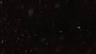Güzel Real yağan kar, 8K 'da siyah zemin üzerinde izole, ProRes 422, derecelendirilmemiş. Mükemmel bokeh 'li bir telefoto lensi, besteleme görüntüleri, hareketli grafikler.