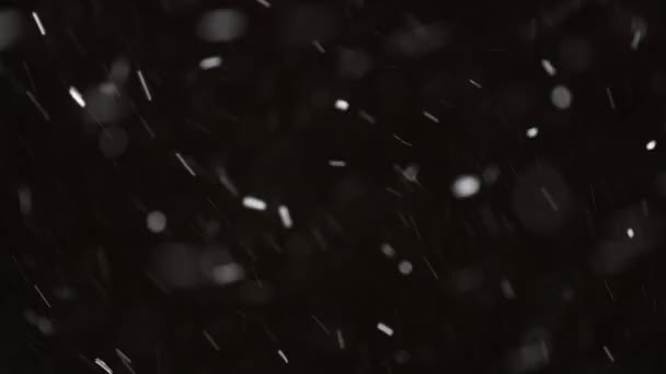 Belle vraie neige tombante isolée sur fond noir en 8K, ProRes 422, non dégradée. Tourné sur un téléobjectif avec un bokeh parfait, des images pour composer, des animations graphiques — Video