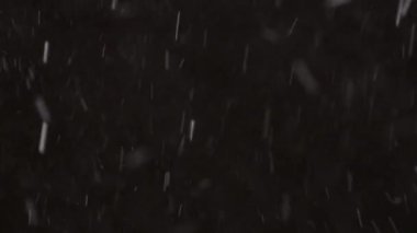 Güzel Real yağan kar, 8K 'da siyah zemin üzerinde izole, ProRes 422, derecelendirilmemiş. Mükemmel bokeh 'li bir telefoto lensi, besteleme görüntüleri, hareketli grafikler.