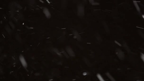 Vacker Real fallande snö isolerad på svart bakgrund i 8K, ProRes 422, ograderad. Skjuten på en teleobjektiv med perfekt bokeh, film för komponering, rörlig grafik — Stockvideo